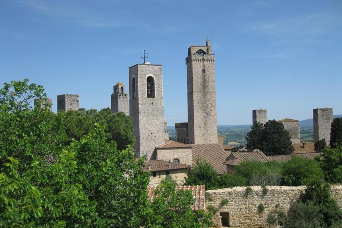 un castell amb torres en un turó amb arbres
