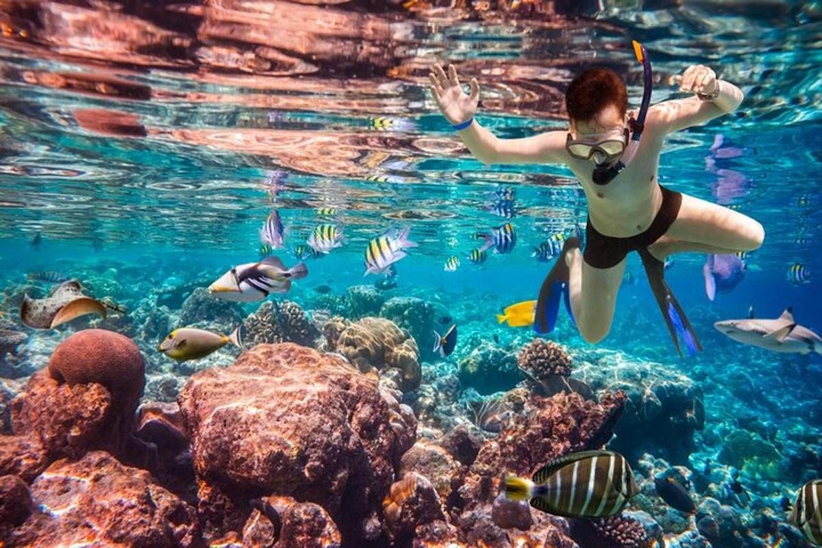 eine Frau, die mit Fischen in einem Korallenriff schwimmt