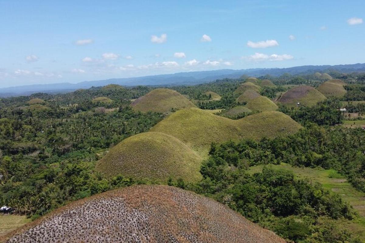 an overhead view of a forest with many domes