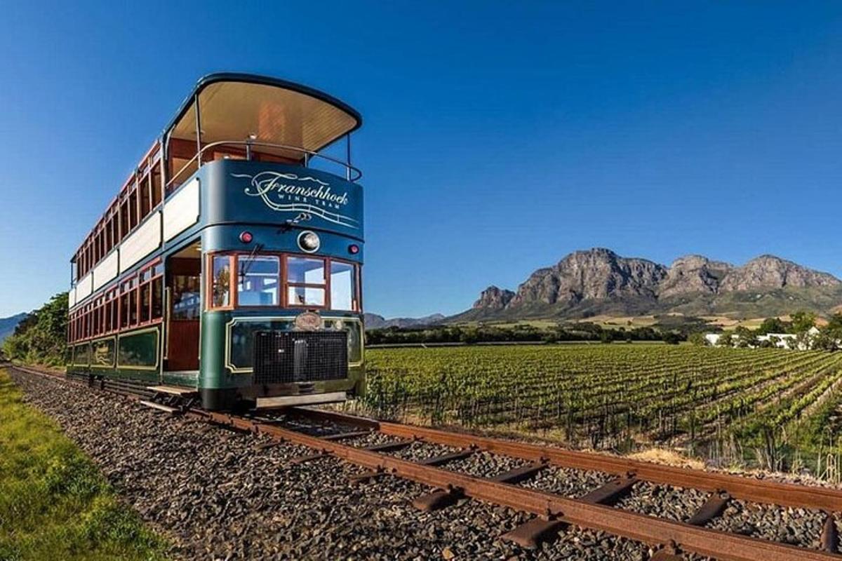 un treno sui binari davanti a un vigneto
