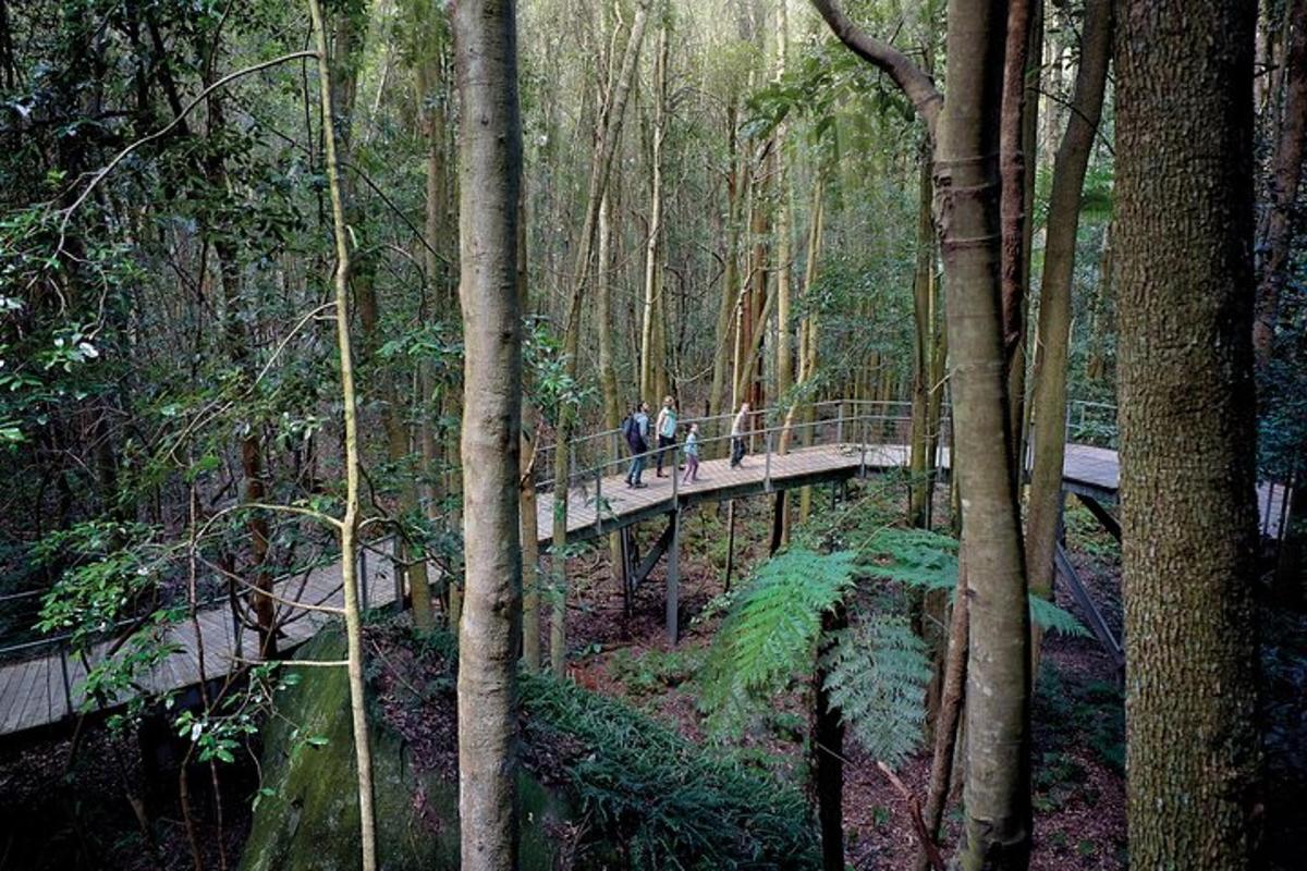 two people walking across a bridge in a forest