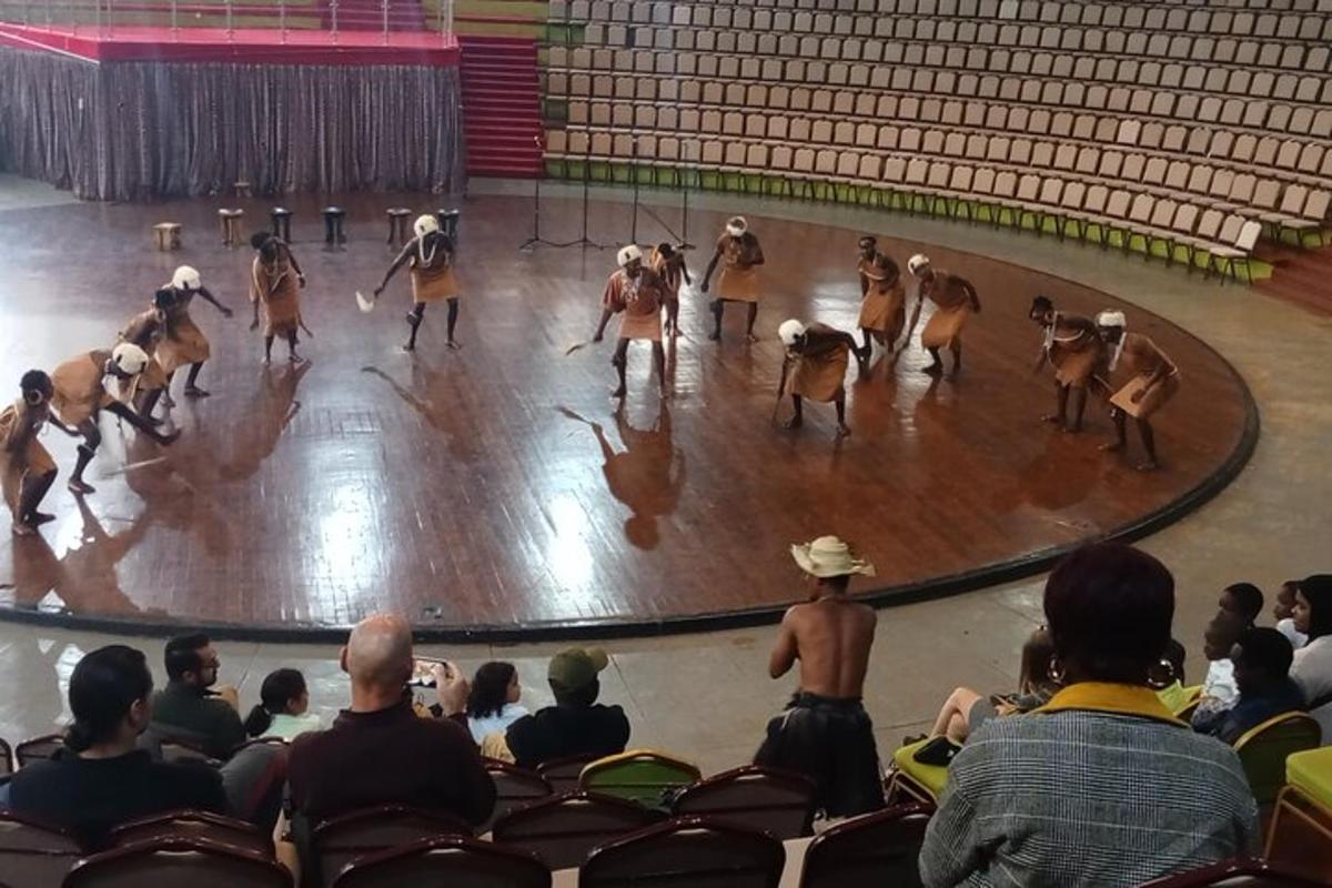 Un grupo de perros en un ring con gente observando