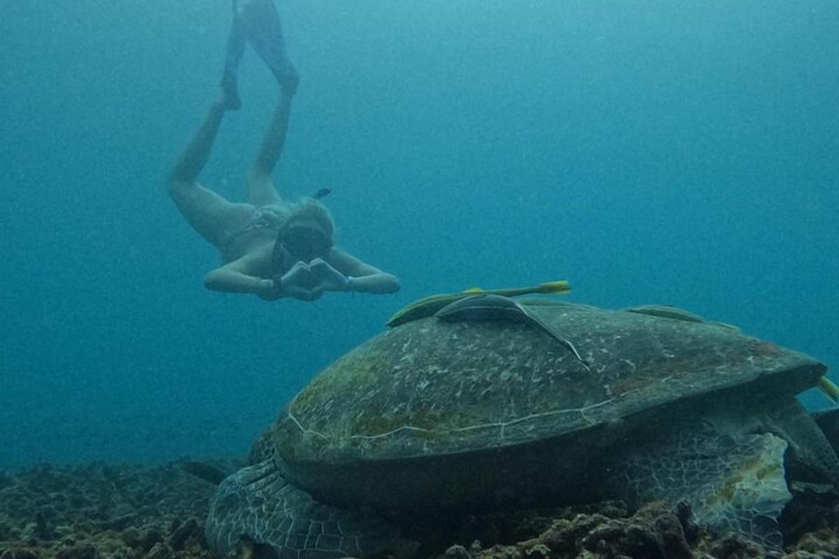 a man swimming next to a turtle in the ocean