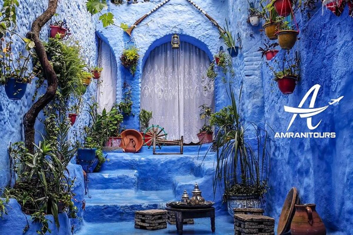 een kamer met blauwe muren, een raam en planten