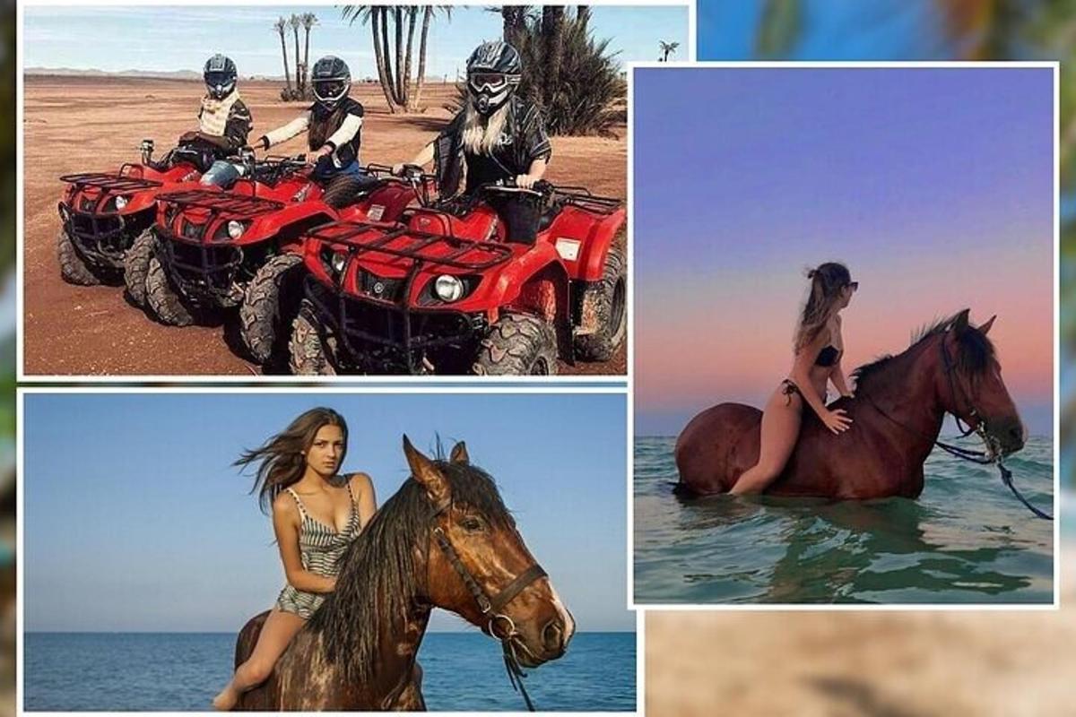 en kollasj av bilder av folk på motorsykler og en hest