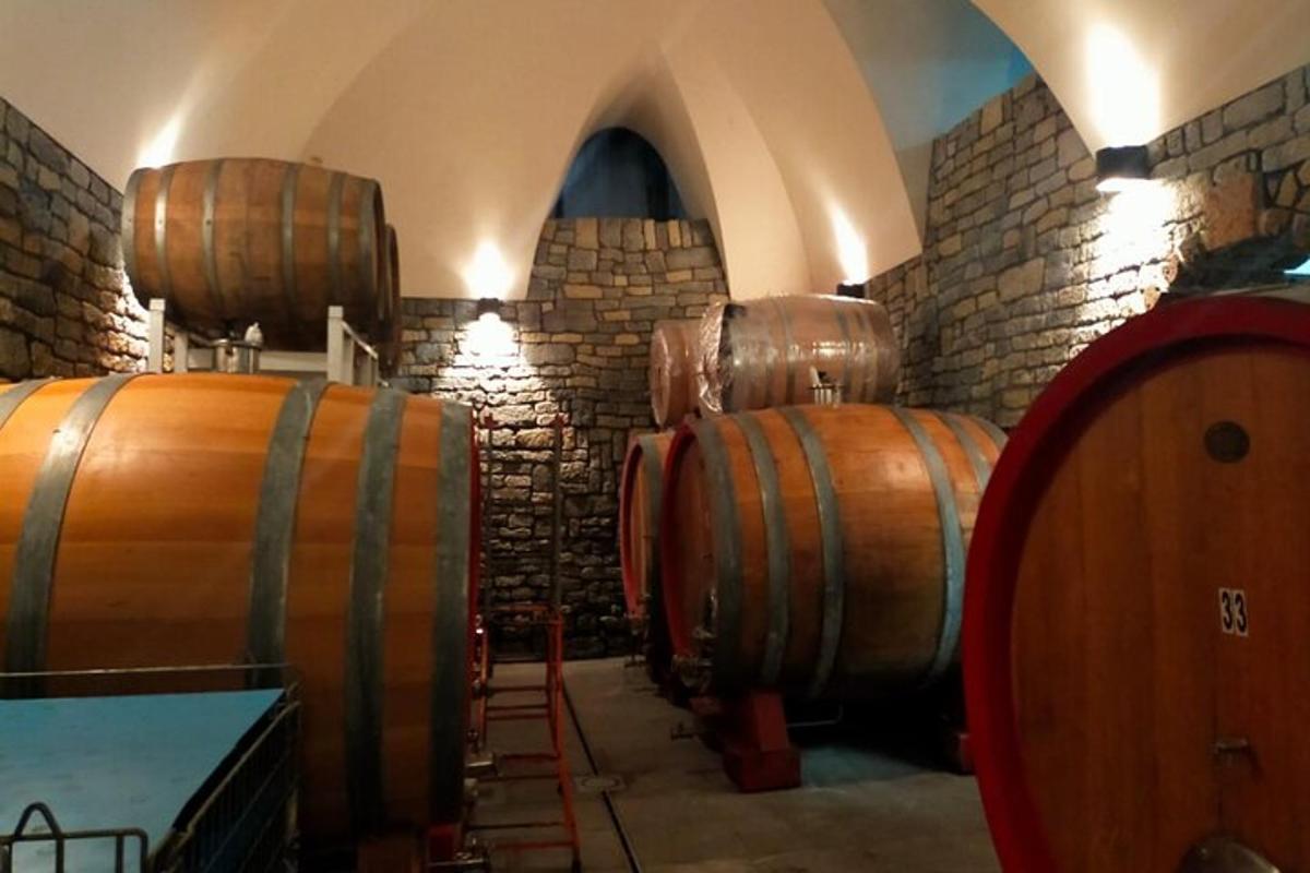 uma adega com barris de madeira em uma sala
