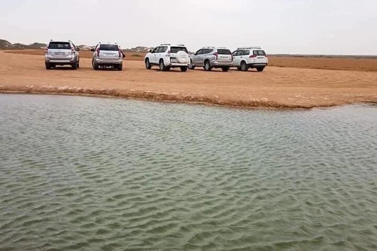 a group of cars parked next to a body of water