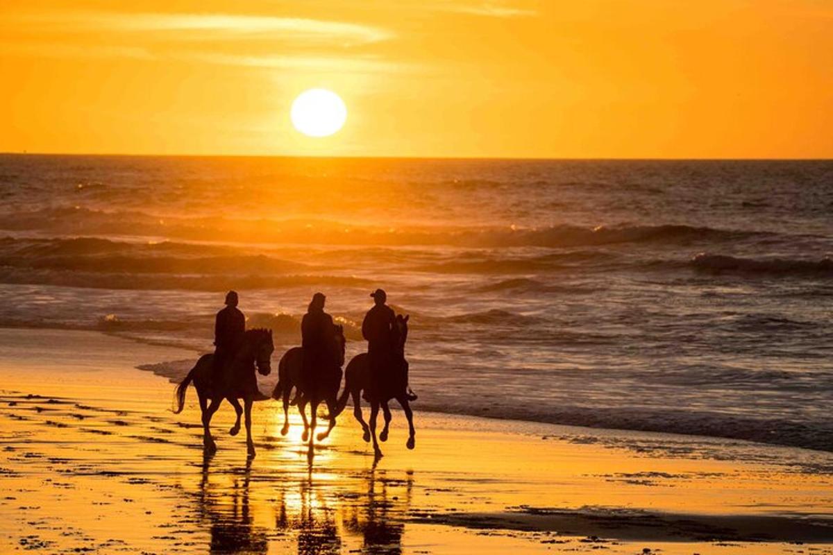 three people riding horses on the beach at sunset
