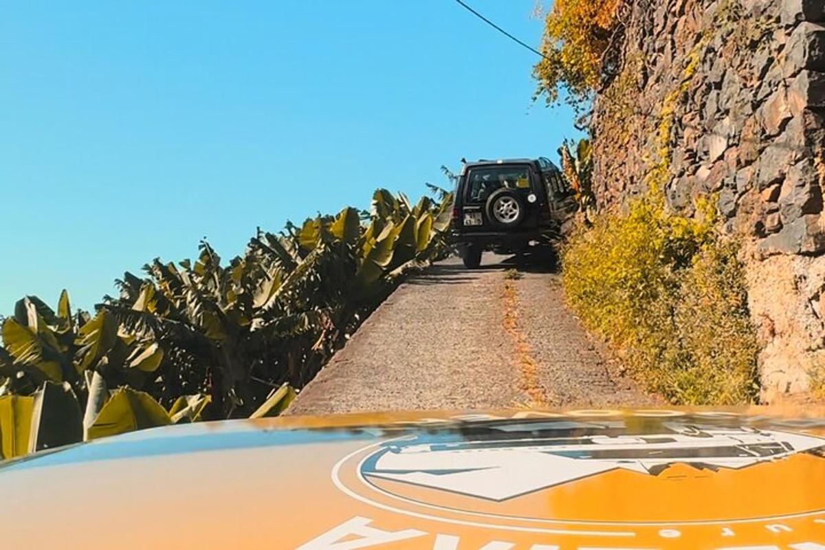 a car driving down a dirt road with palm trees