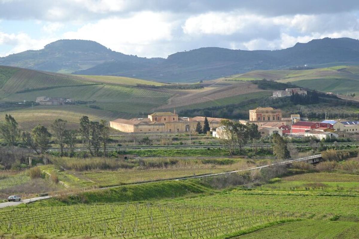 una città in mezzo a un campo verde con un treno