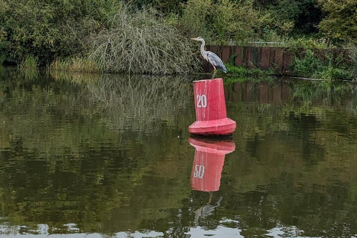a bird sitting on a red post in the water