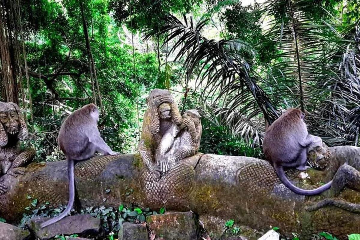 um grupo de macacos sentados em cima de um tronco