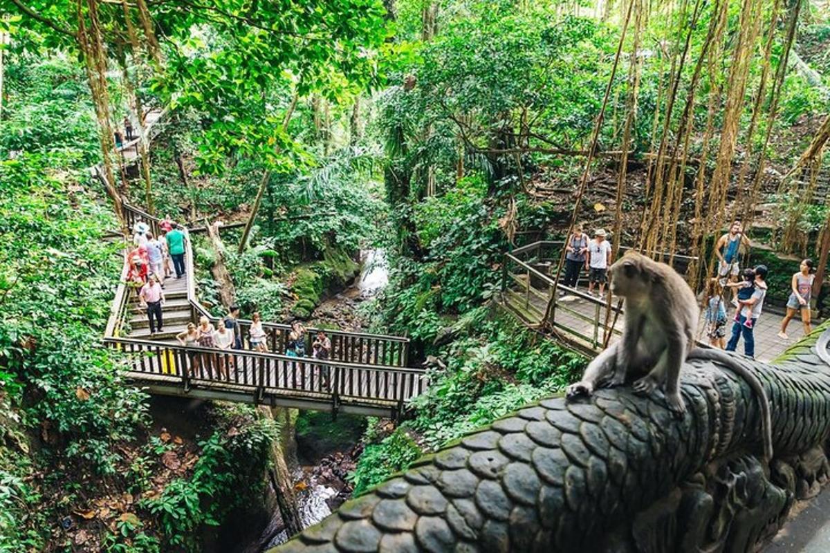 seekor monyet duduk di atas dinding batu di zoo