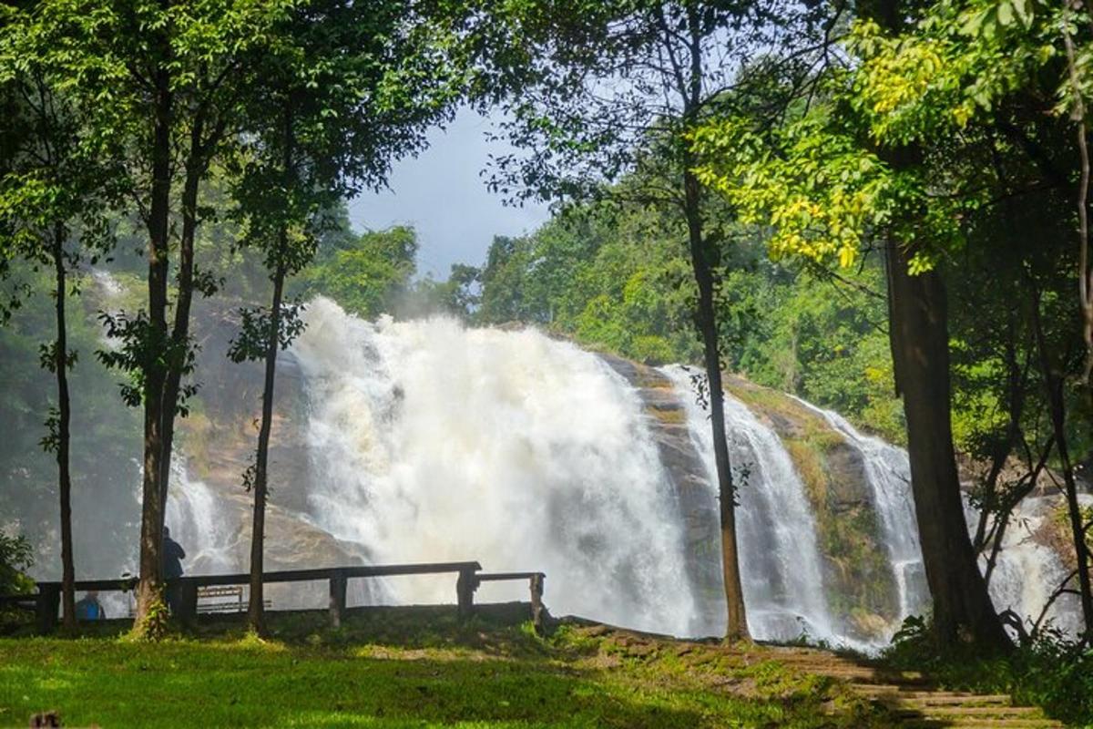 a waterfall in the middle of a park with trees