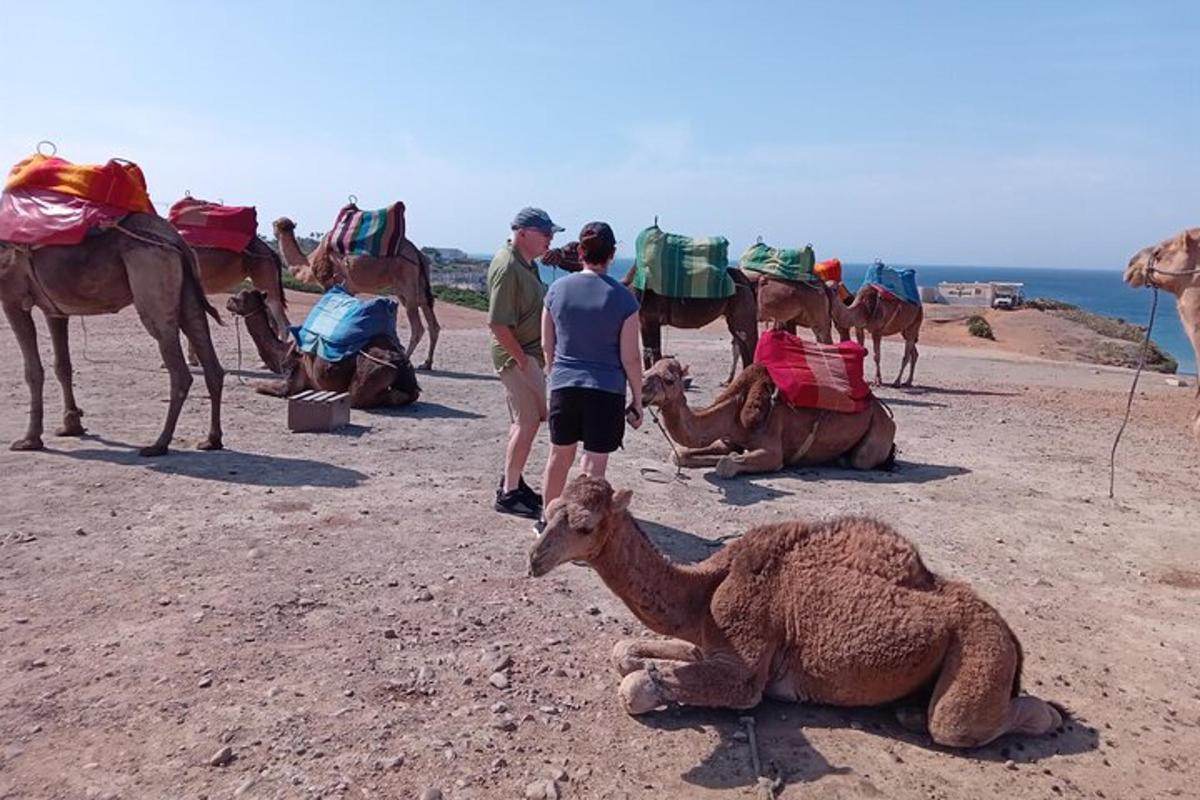 um grupo de pessoas com camelos e um camelo deitado no chão