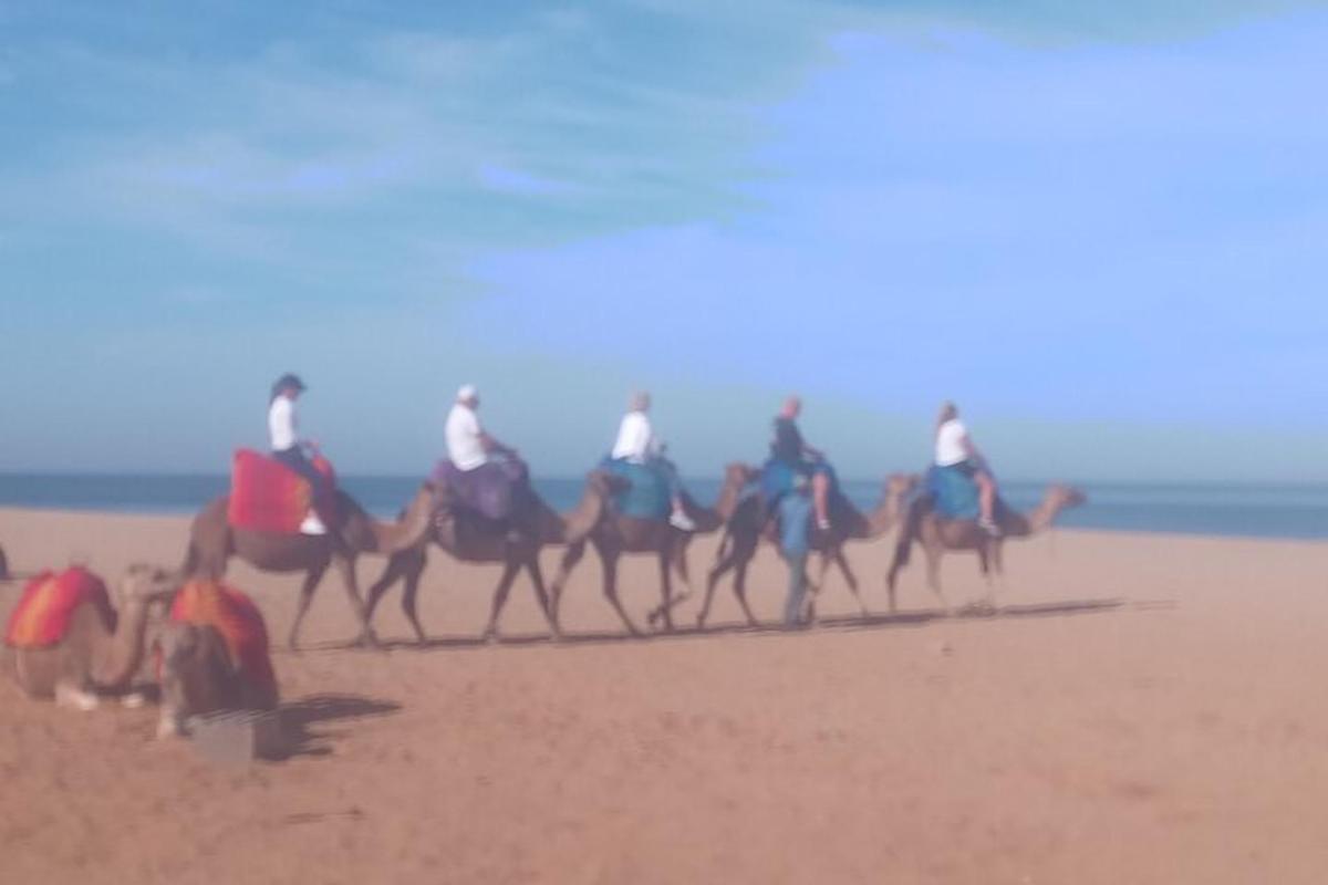 um grupo de pessoas andando de camelo na praia