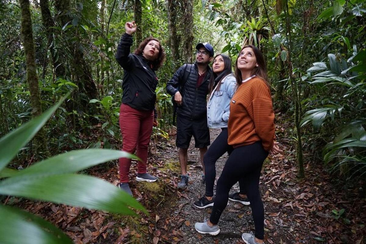 a group of people standing in the forest