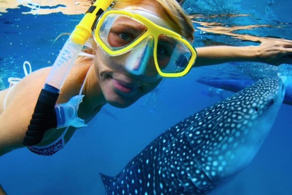 una donna in piscina con uno squalo balena
