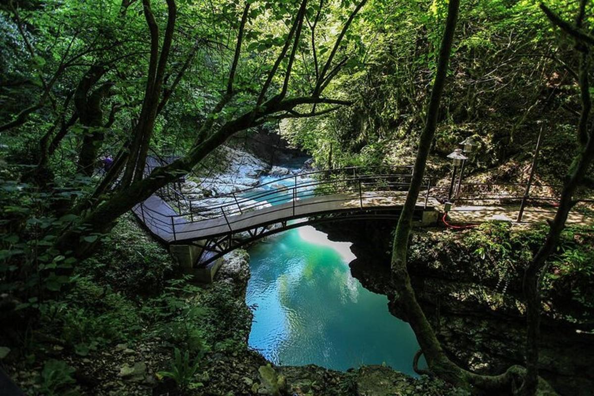 a bridge over a river in a forest