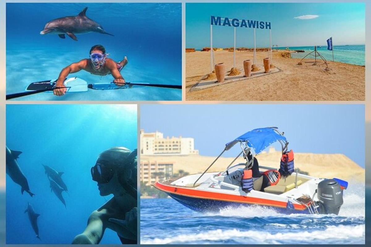 un collage di immagini con un uomo in barca e degli squali