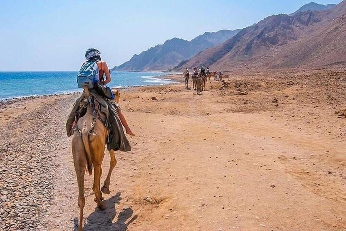 una persona muntant a cavall a la platja