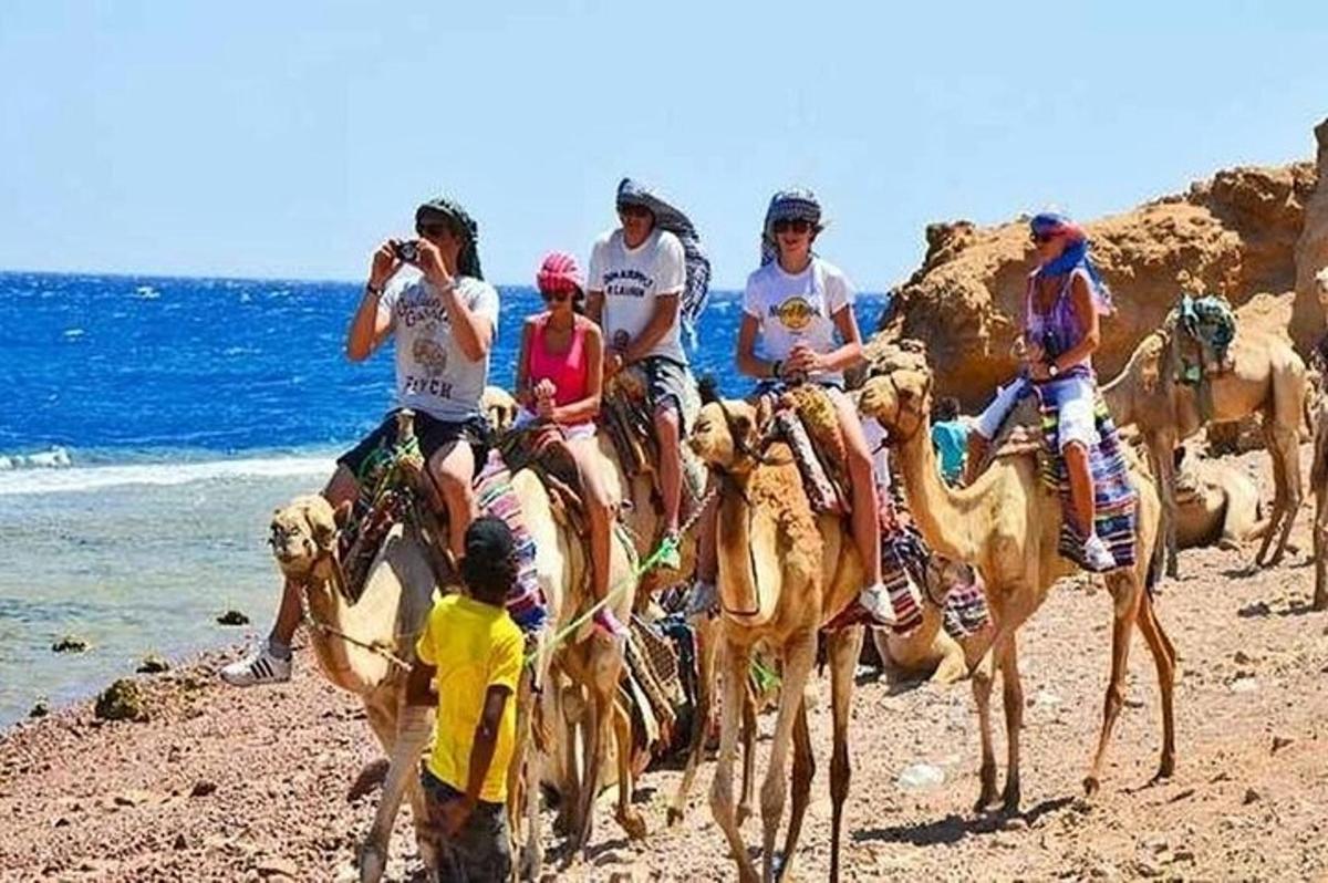 un grup de persones muntant camells a la platja