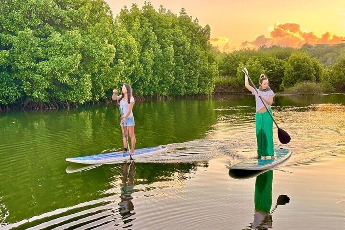 two women are standing on paddle boards in the water
