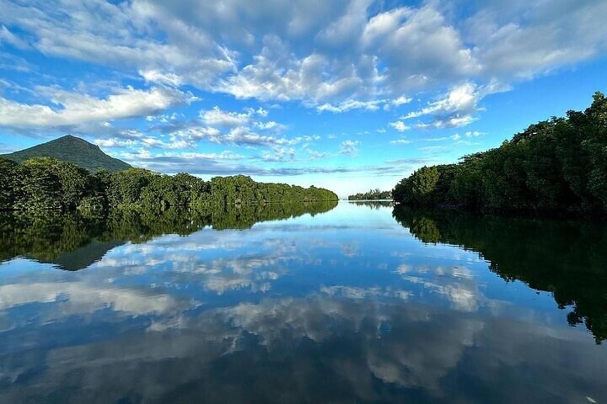 una vista di un fiume con alberi ai lati