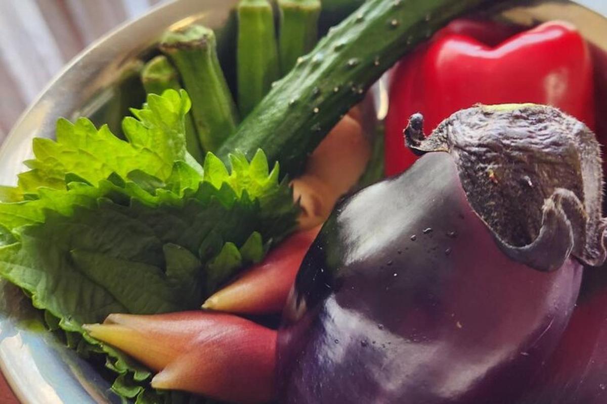 un bol cu legume cu un elefant pe el