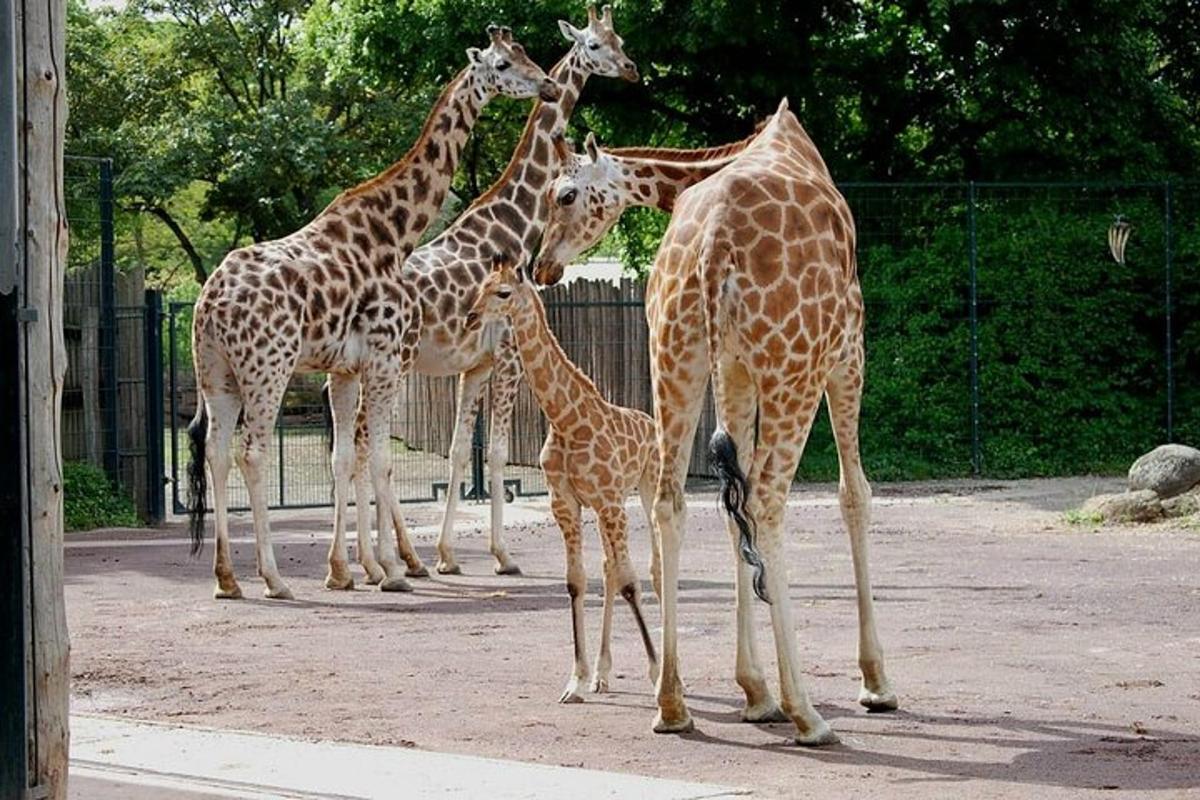 Attraction picture 3