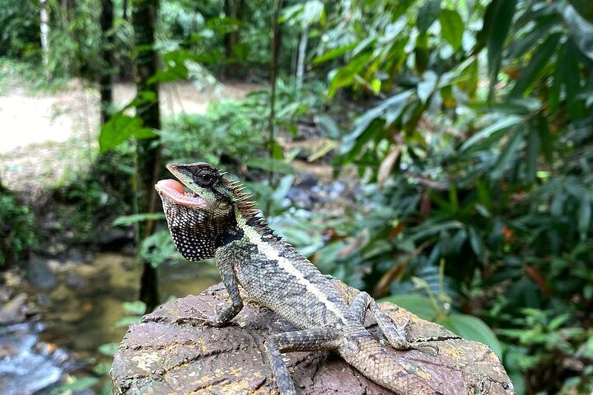 ภาพถ่ายสิ่งที่น่าสนใจภาพที่ 5