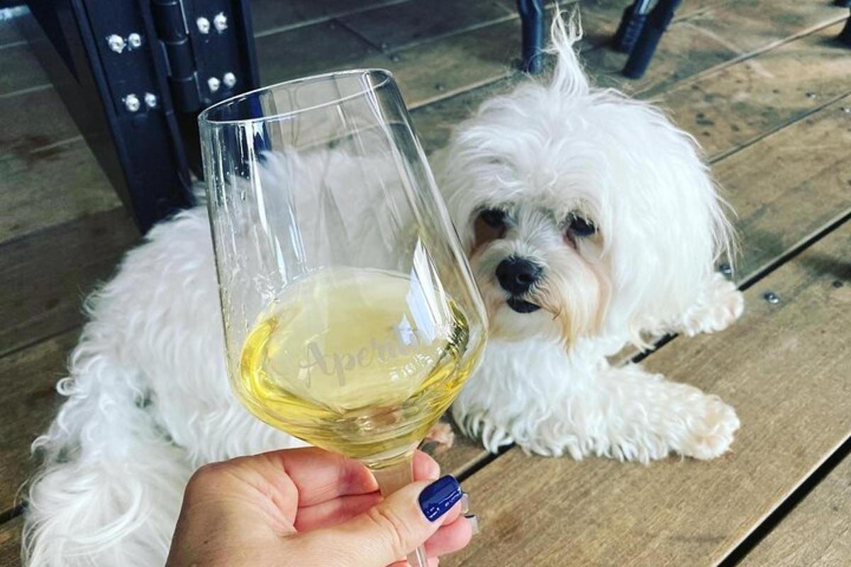 uma pessoa segurando uma taça de vinho e um cachorro