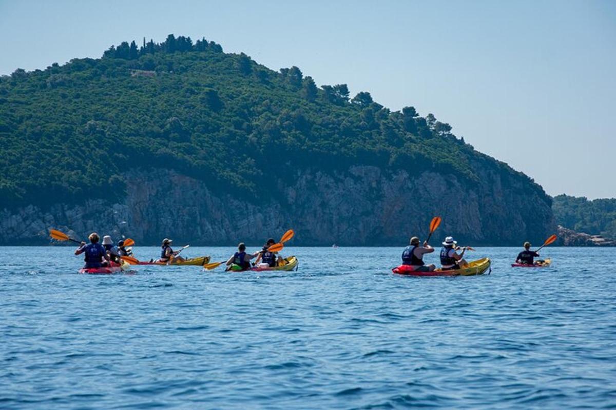 un gruppo di persone che fa kayak su uno specchio d'acqua