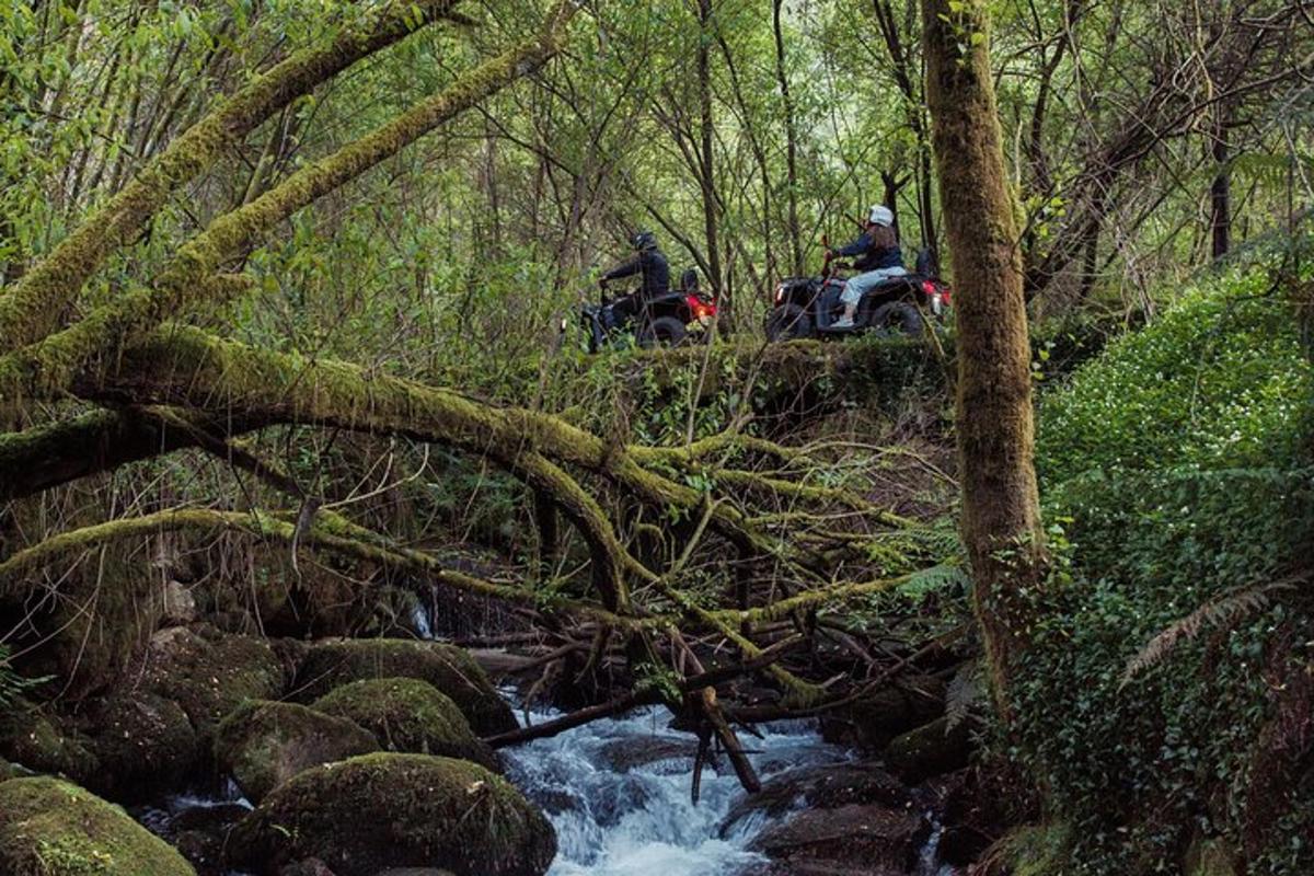 two people on atvs crossing a stream in a forest