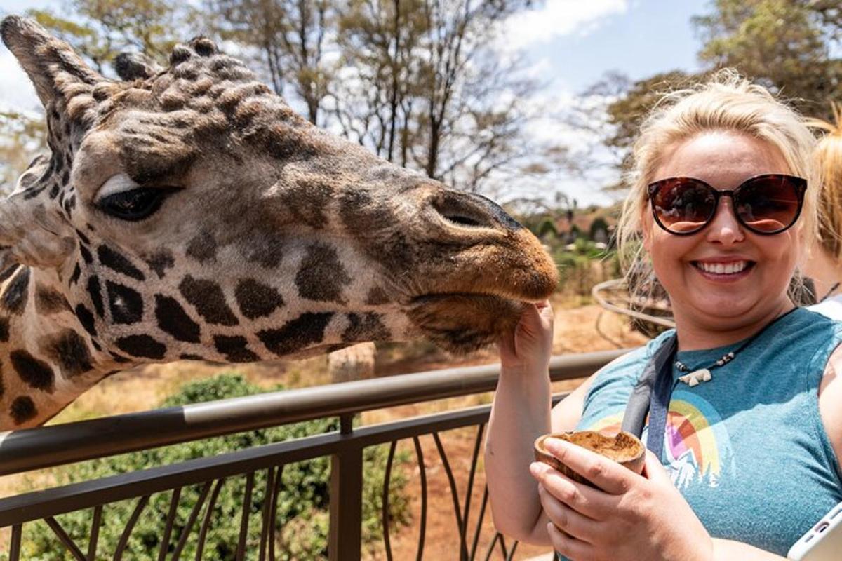 a woman feeding a giraffe at a zoo