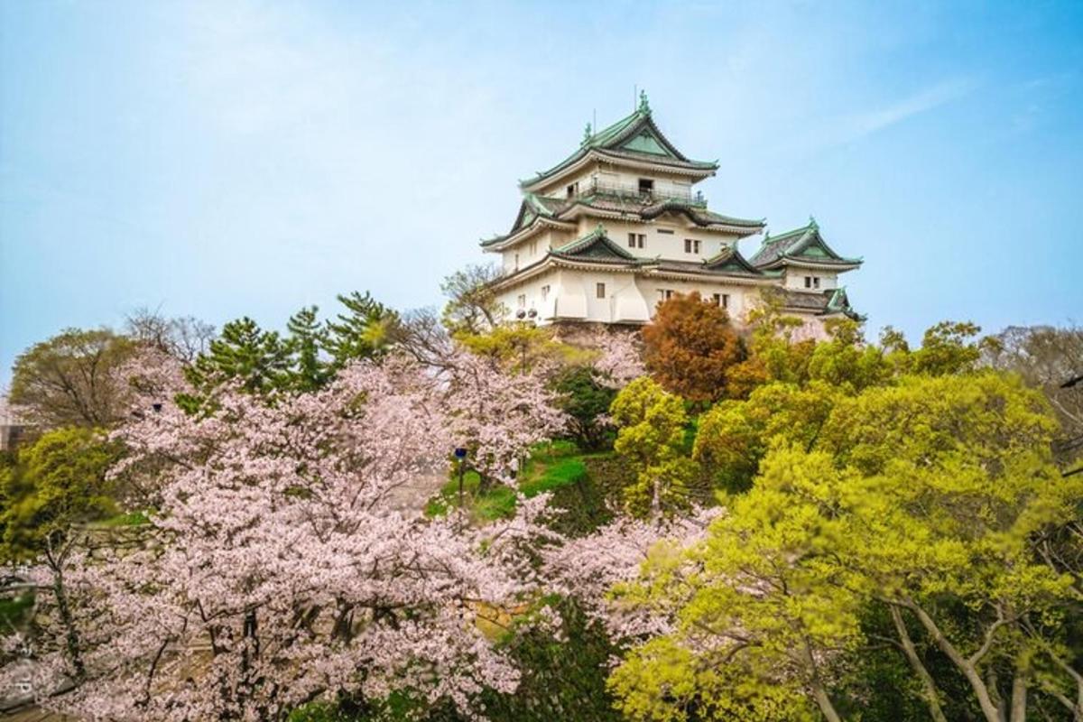 a castle on top of a hill with trees