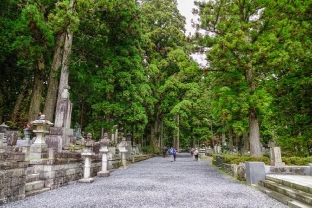 a group of people walking down a path in a cemetery