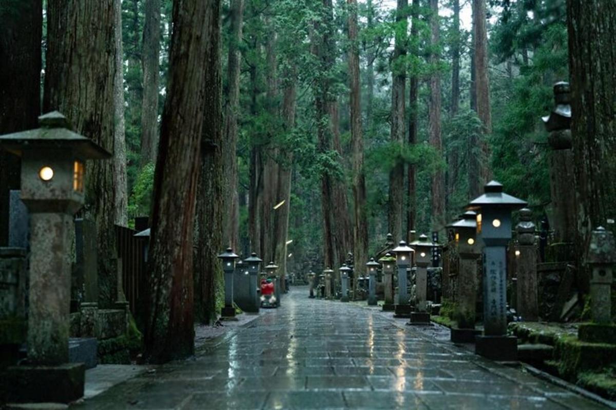 a path in a cemetery with trees and a red car