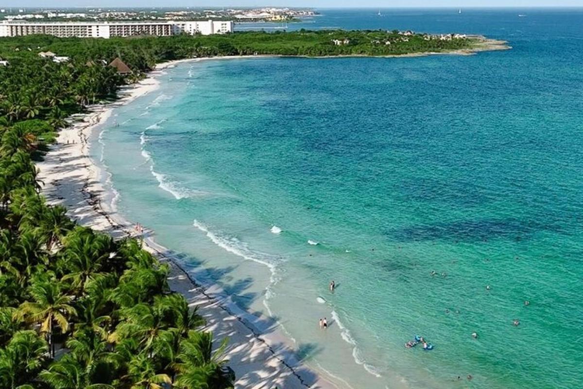 egy pálmafás strand légi felvétele
