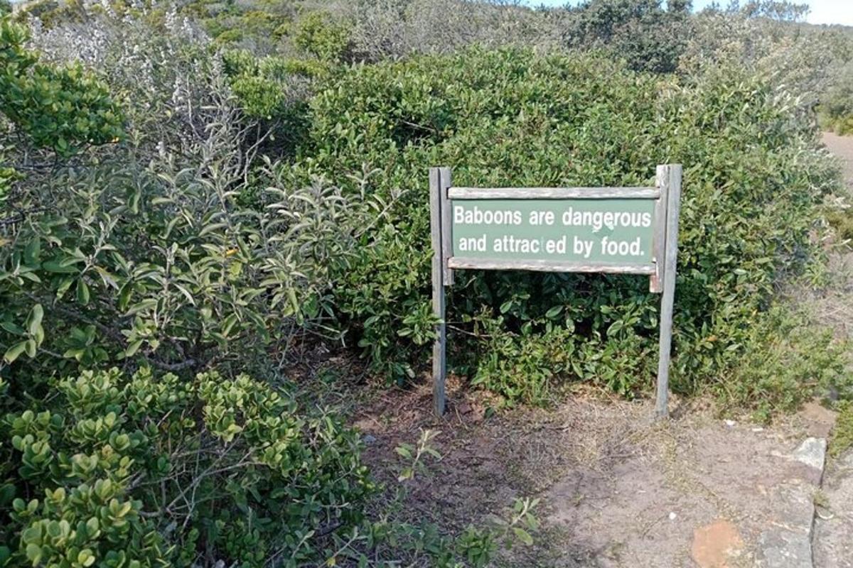 a sign on the side of a bush with a sign