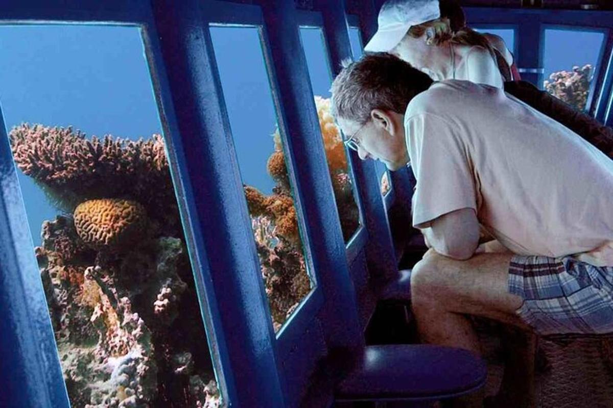 moški, ki v akvariju opazuje koralni greben