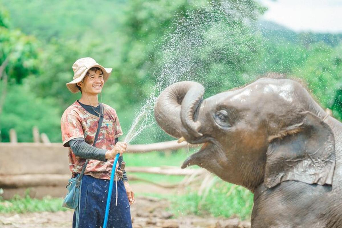 một người đàn ông đang phun nước vào một con voi bằng vòi