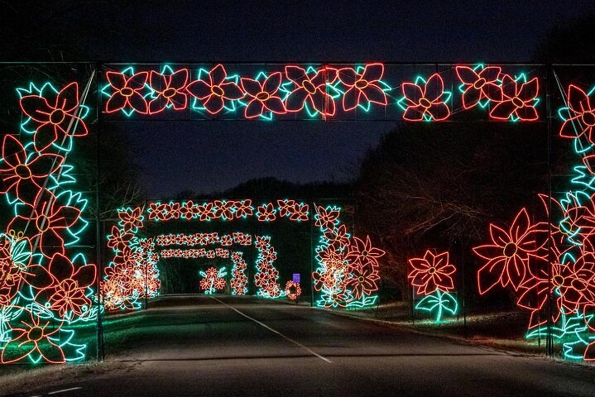 a bridge covered in christmas lights on a road