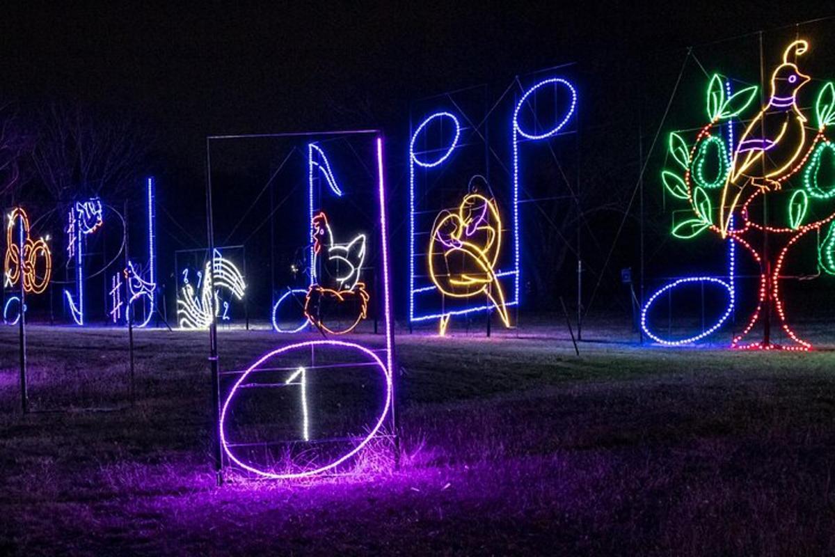 a group of neon signs in a yard at night