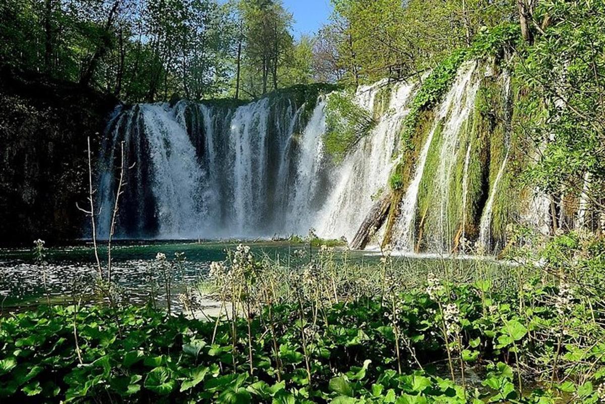 ein Wasserfall mitten im Wald