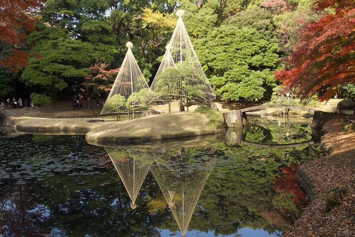 a fountain in a pond in a park