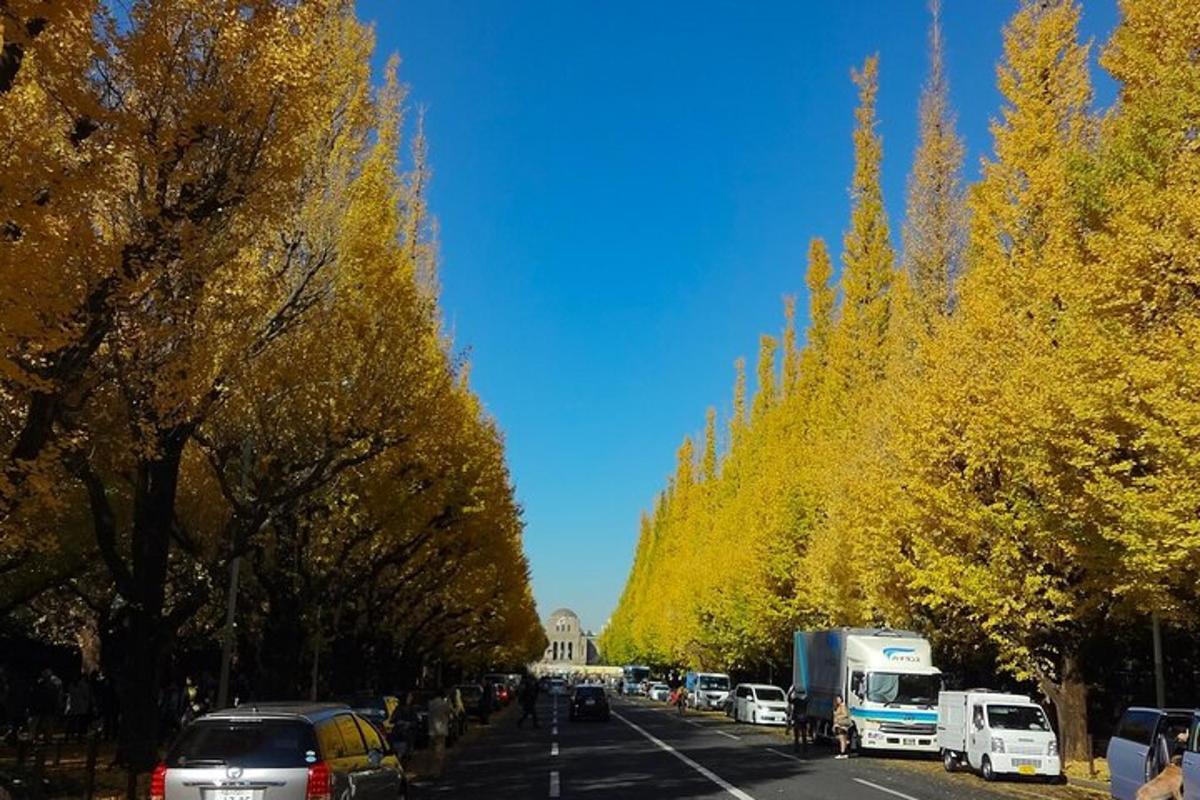 a street with cars parked on the side of a road with trees