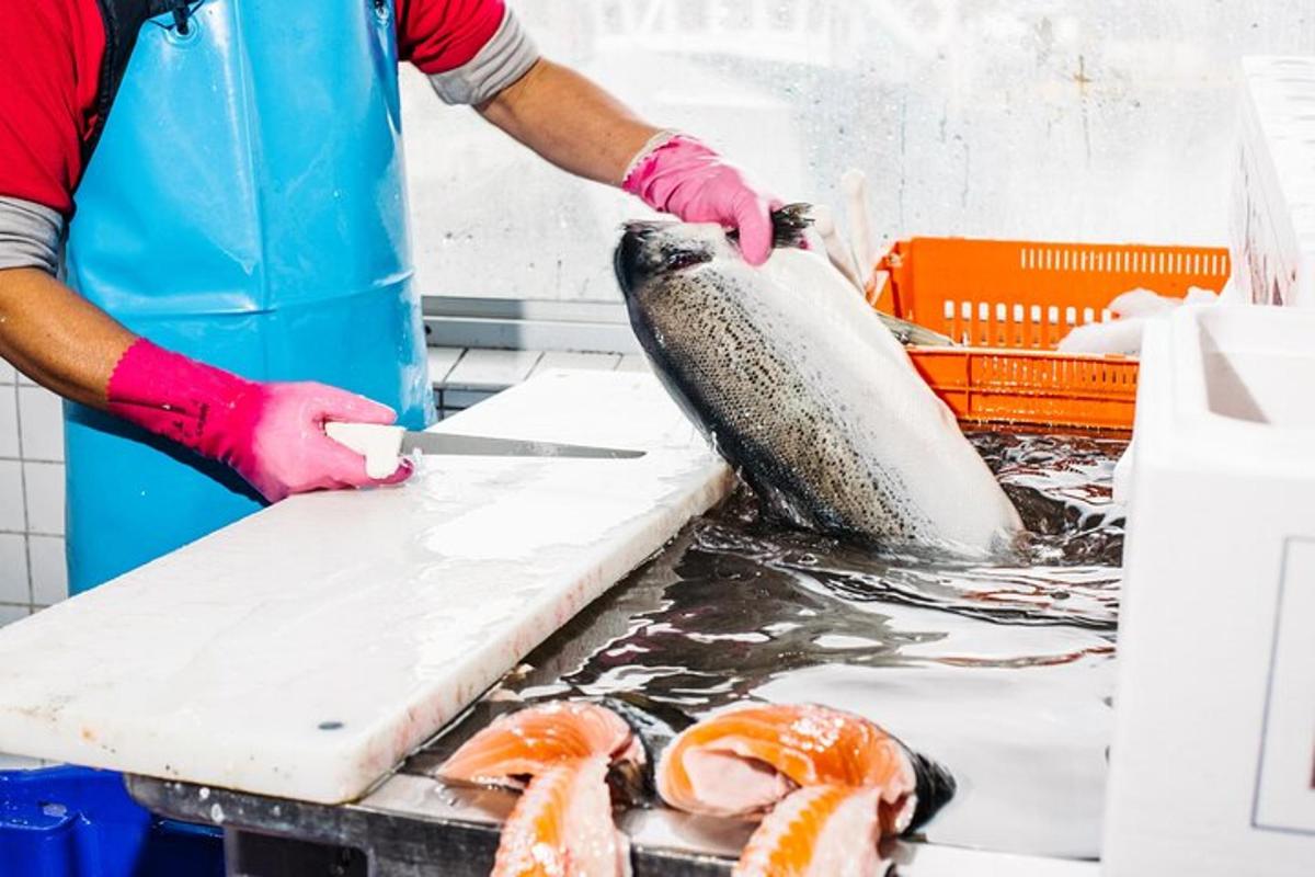 una persona che taglia un pesce su un tagliere