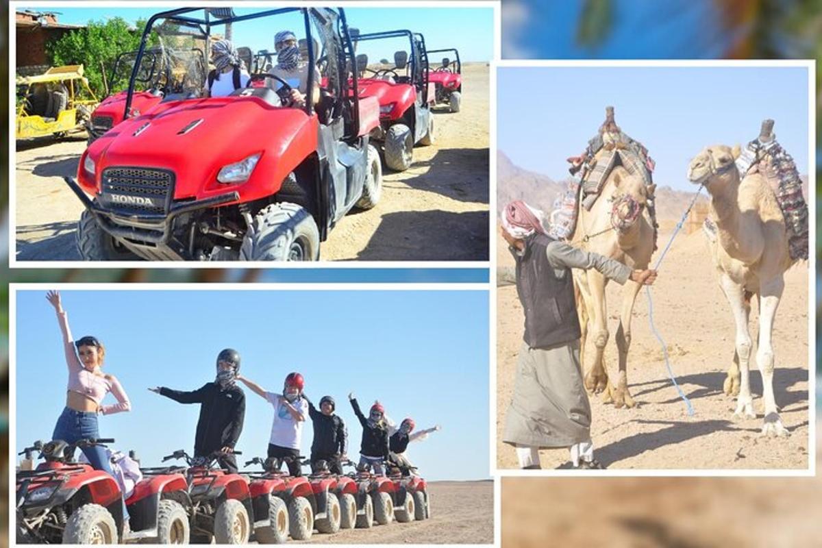 a collage of pictures with people and vehicles and a camel