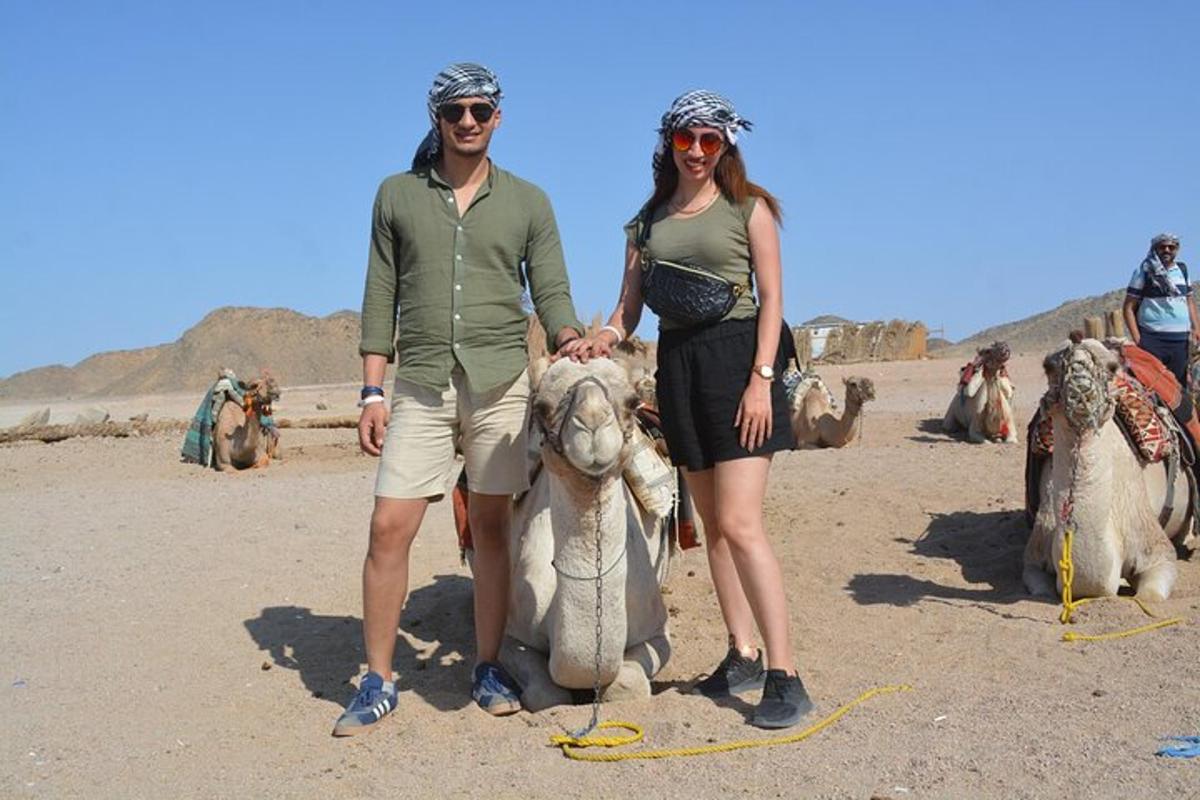 a man and a woman standing next to a sheep